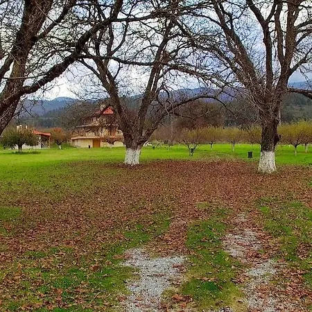 Ktima Karadimou * Karkaloú