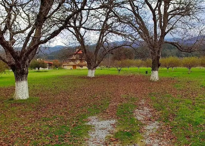 Ktima Karadimou * Karkaloú