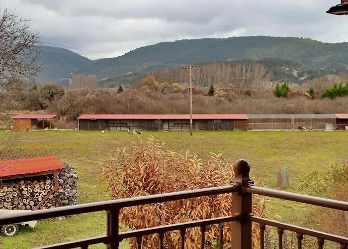 Ktima Karadimou * Karkaloú